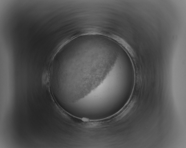 X0000100931385200806241356