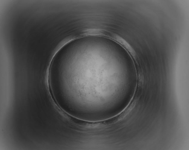 X0000100931386200806241356