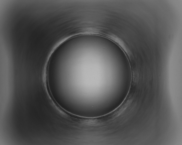 X0000100931387200806241356