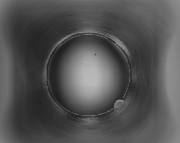 X0000100931388200806241356