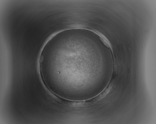 X0000100931389200806241356