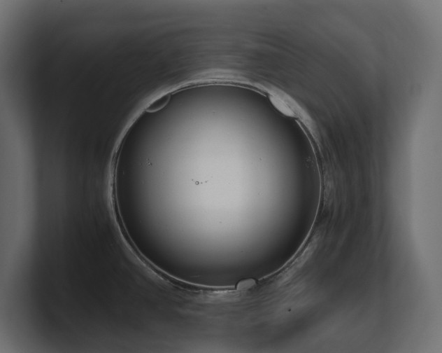 X0000100931390200806241356