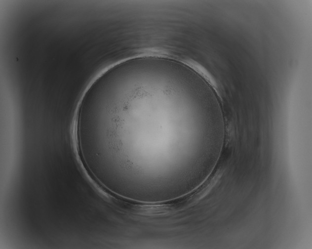 X0000100931391200806241356