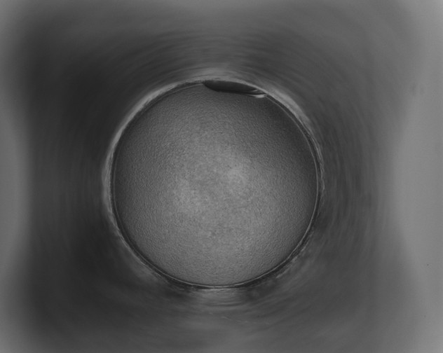 X0000100931392200806241356