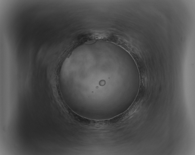 X0000100931393200806241355