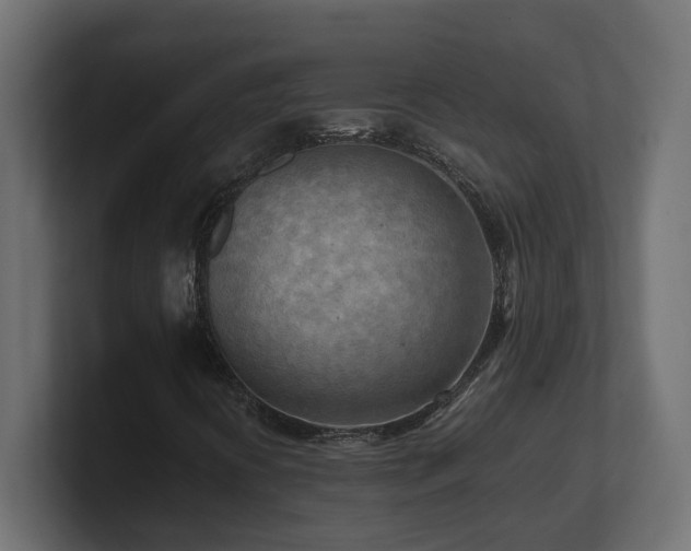 X0000100931394200806241355