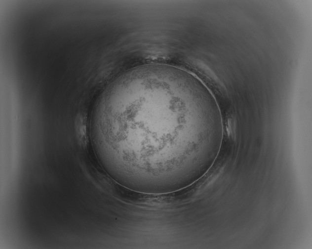 X0000100931396200806241355