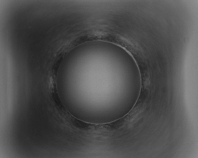 X0000100931397200806241355