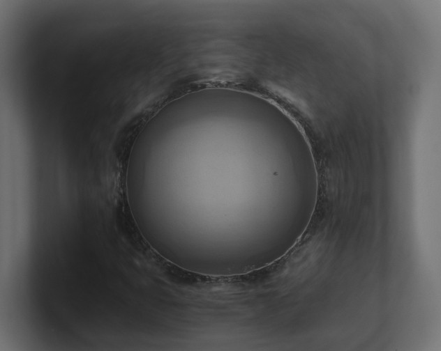 X0000100931399200806241355