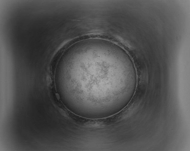 X0000100931400200806241355