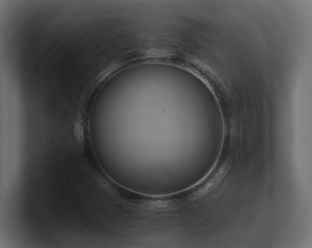 X0000100931401200806241355