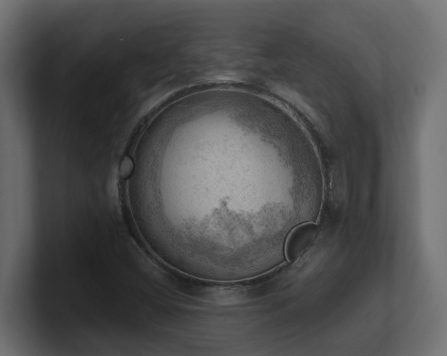 X0000100931404200806241355