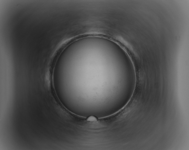 X0000100931408200806241355