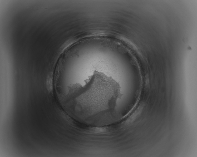 X0000100931409200806241355