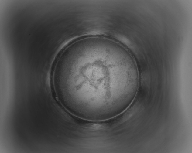 X0000100931412200806241355