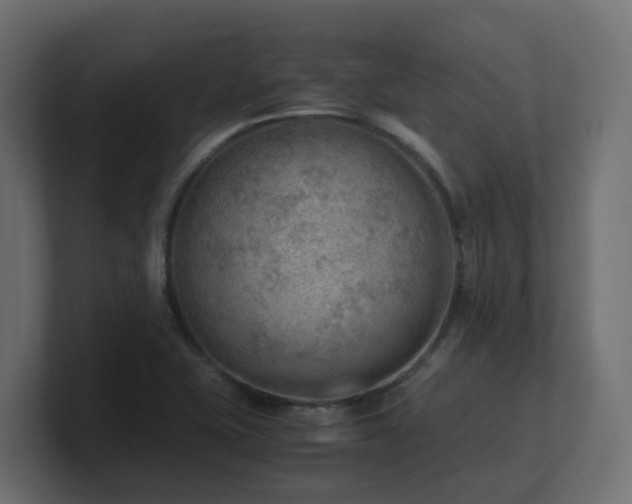 X0000100931415200806241355