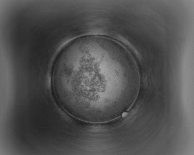 X0000100931416200806241355