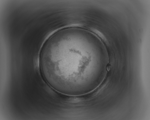 X0000100931420200806241355