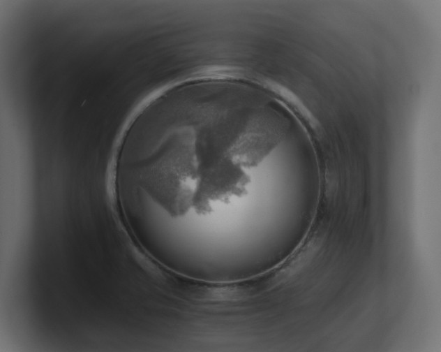 X0000100931421200806241355