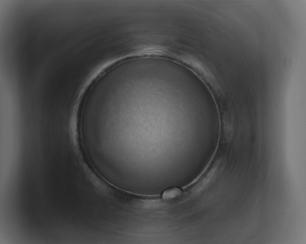 X0000100931422200806241355