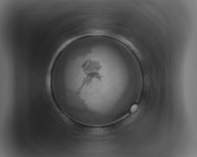 X0000100931424200806241356