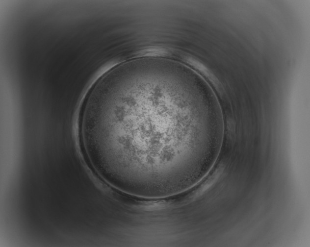 X0000100931426200806241356