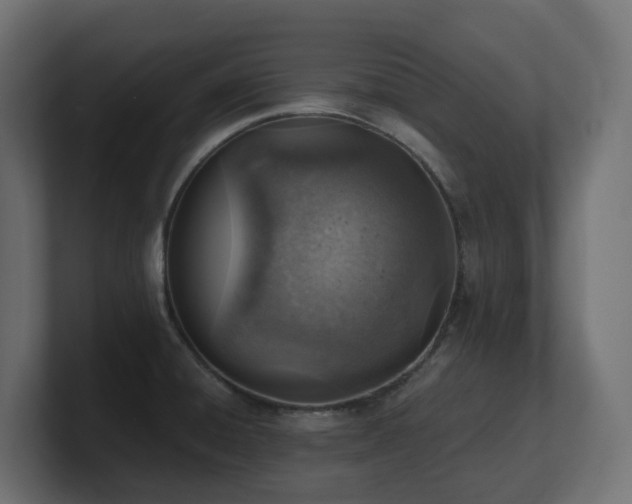 X0000100931428200806241356