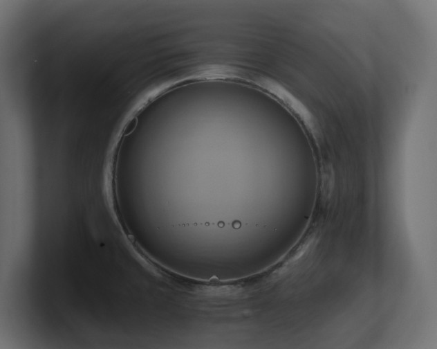 X0000100931429200806241356