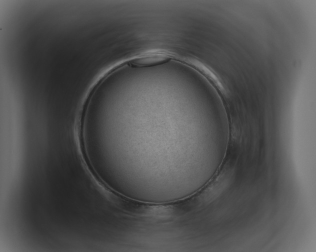 X0000100931430200806241356