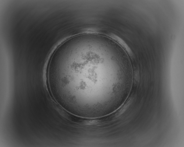 X0000100931435200806241356