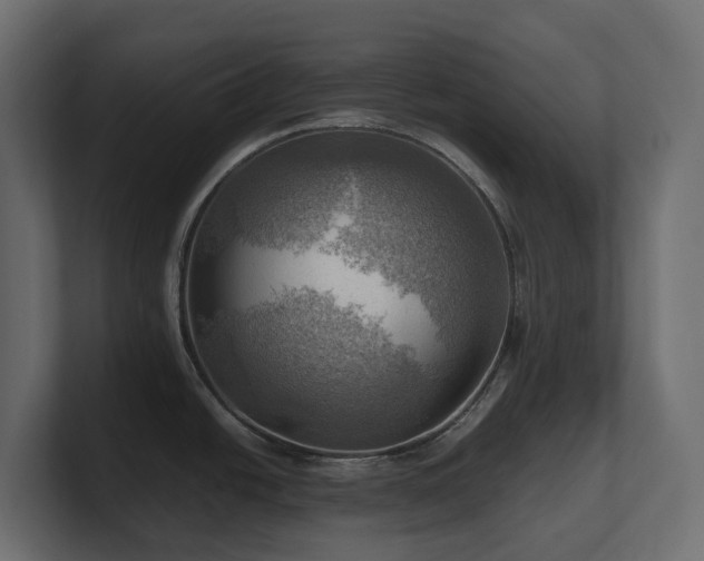 X0000100931438200806241356