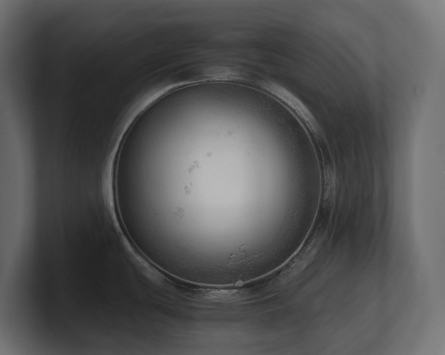 X0000100931439200806241356