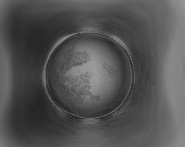 X0000100931440200806241356