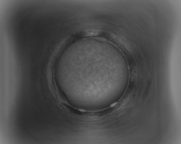 X0000100931441200806241355