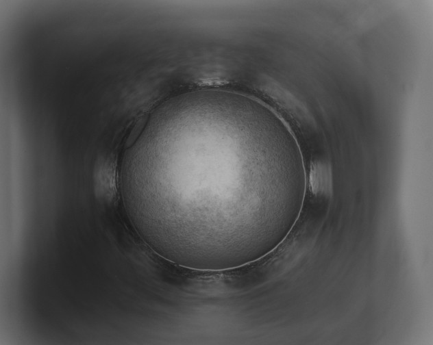 X0000100931444200806241355