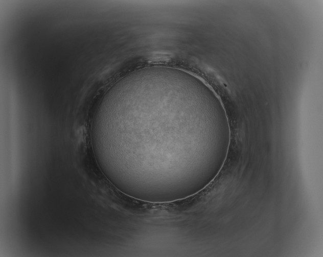 X0000100931445200806241355