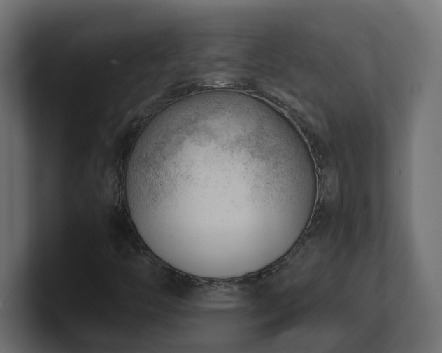 X0000100931446200806241355