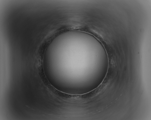 X0000100931447200806241355