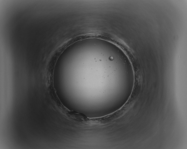 X0000100931448200806241355