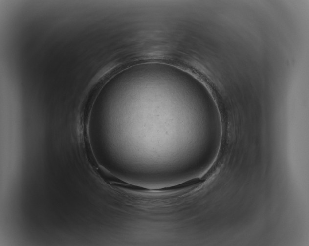 X0000100931450200806241355