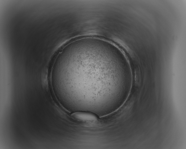 X0000100931452200806241355