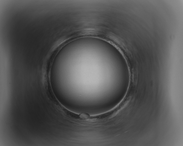 X0000100931453200806241355