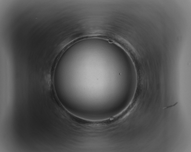 X0000100931457200806241355