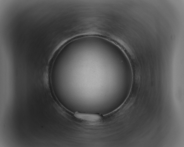 X0000100931460200806241355