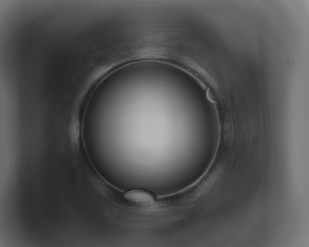 X0000100931461200806241355