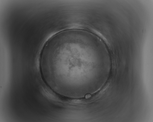 X0000100931463200806241355