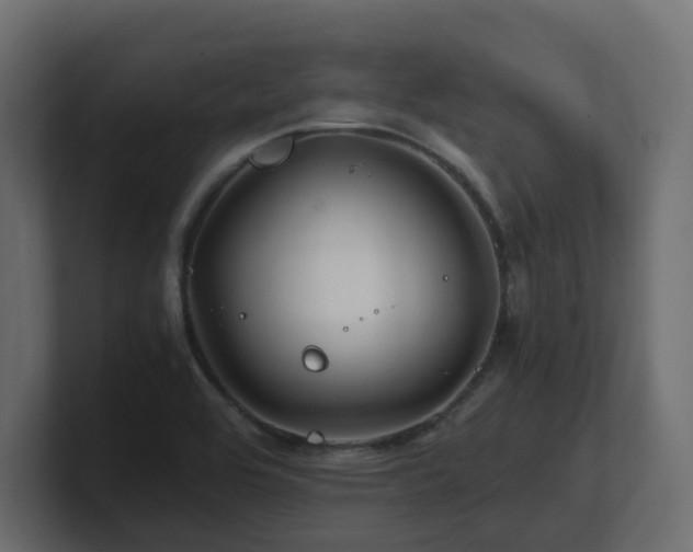 X0000100931464200806241355