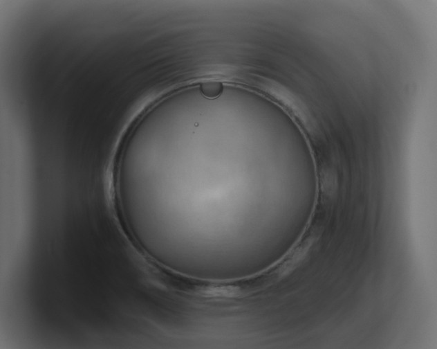 X0000100931466200806241355