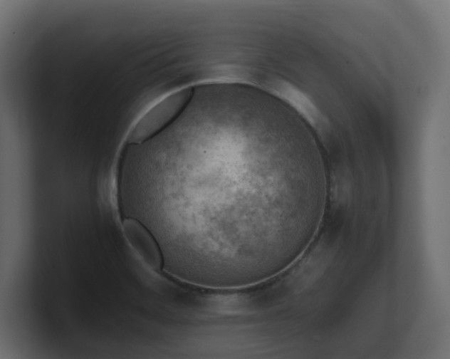 X0000100931468200806241355