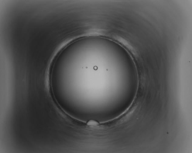 X0000100931469200806241355